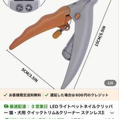 ワンコの爪切りの画像