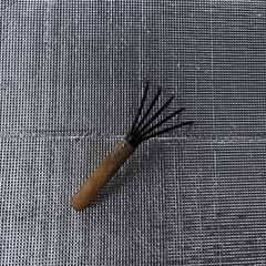 潮干狩り