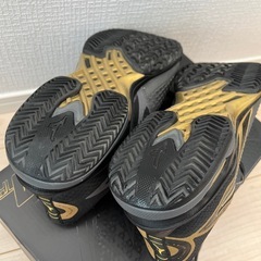【数量限定】ミズノ ウエーブエクシード ツアー 6 OC 10th（61GB247852）［MIZUNO 男女兼用] クレー・砂入人工芝コート用 24SSの画像