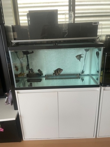 90センチ水槽セット　生体は付きません