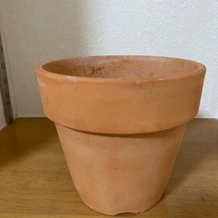 鉢植え　プランター