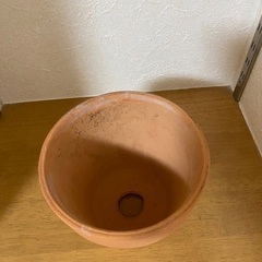 鉢植え　プランターの画像