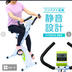 【引取限定】自宅で静かに本格トレーニング！TIGORA フィット...