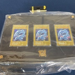 ブルーアイズホワイトドラゴン　海馬セット