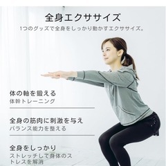 最終値下げ！体幹を鍛えるバランスボード 2回のみの使用の画像