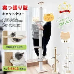【鵠沼海岸 手渡し】中古キャットタワーの画像