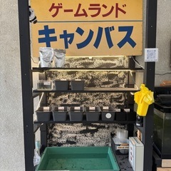 リッチB 200gの画像