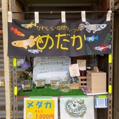 めだか無人販売