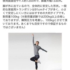 鉄人倶楽部トランポリン　大型 家庭用 トランポリン 48 IMC-27の画像