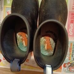 靴　長靴　光　17cm　恐竜の画像