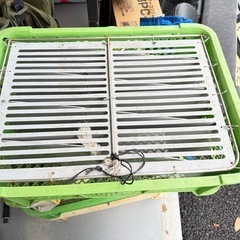 活魚　　輸送箱　マダイ　の画像