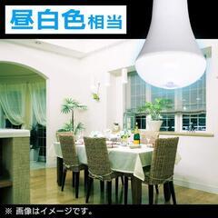 アイリスオーヤマ LED電球 人感センサー付 口金直径26mm 40W形相当 昼白色

の画像
