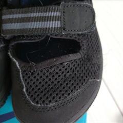 asics アンフィビアン 19.5cmの画像