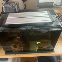 ベタ水槽セット