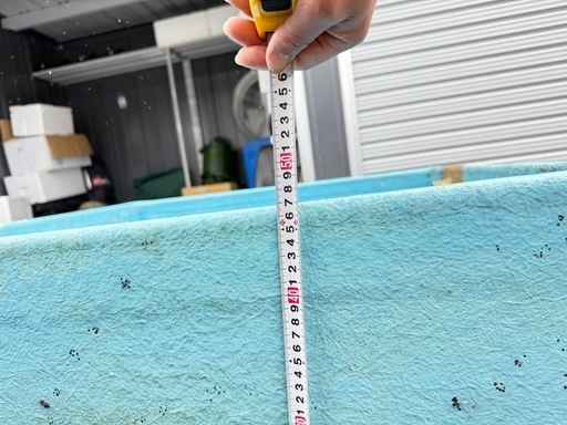 活魚水槽　生簀　