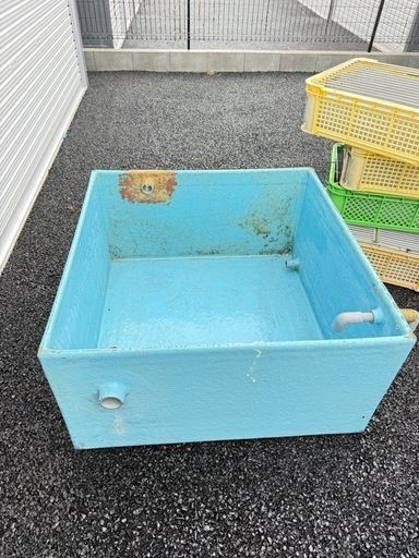 活魚水槽　生簀