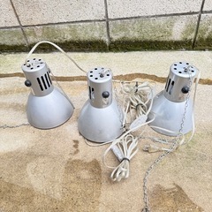 神畑　ヴォルテス　ライト