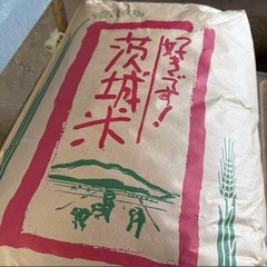 玄米