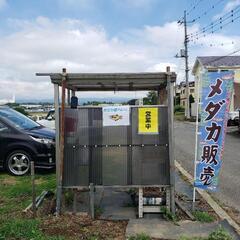 メダカ販売　めだか屋らいく　2025年めだか販売開始します。5月...