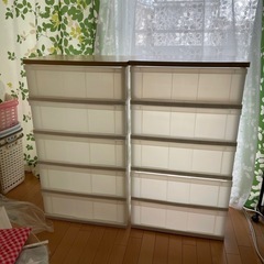 収納ケース 横長 5段 2つ