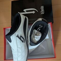【未使用】スリッポン メンズの画像