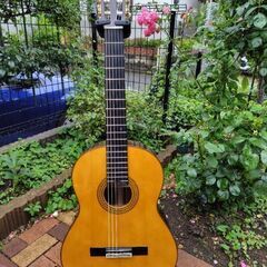 ヤマハクラシックギターGC22S