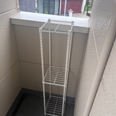 棚