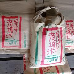 令和６年度茨城県もち米30kg
