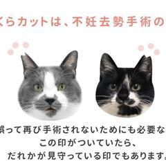搬送搬入お迎えメンバーさん急募！！ − 福岡県