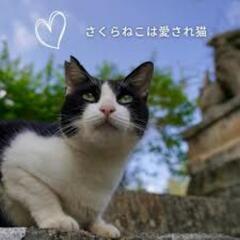 搬送搬入お迎えメンバーさん急募！！