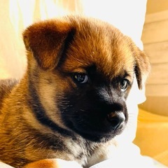 さくらんぼちゃん・生後1ヶ月半