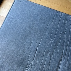 【決まりました】ｱｲﾘｽｵｰﾔﾏ 接触冷感低反発ラグ 185×240 グレーの画像