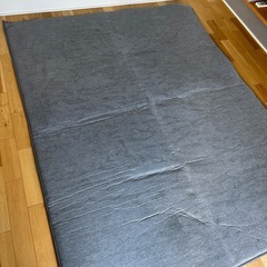 【決まりました】ｱｲﾘｽｵｰﾔﾏ 接触冷感低反発ラグ 185×240 グレーの画像