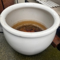 観葉植物陶器（鉢穴なし）