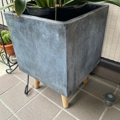 観葉植物陶器（鉢穴無し）