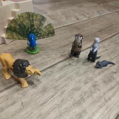 アニアがあるくゾ！おまけのフィギュア付きの画像