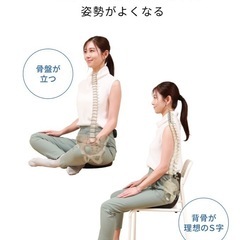 アーユル　チェアの画像