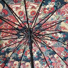 傘　かさ 和柄ナイロン傘の画像