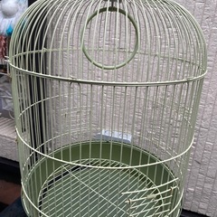 鳥籠
