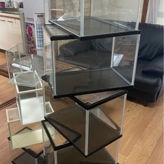 水槽セット🐠