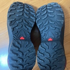 SALOMON サロモン X-ADVENTURE GTX W の画像