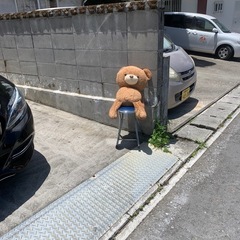 フリマ開催します
の画像