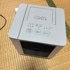 ここひえ（決まりました）