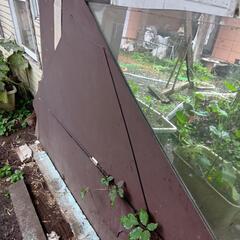大きな鏡の画像