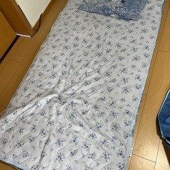 布団　シングル　西川　の画像