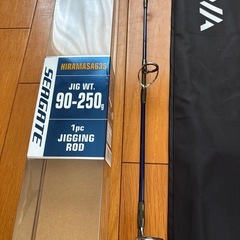 ジギングセットの画像