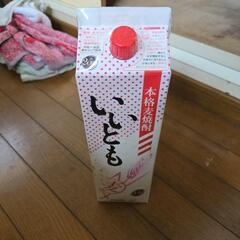 【売約済】急募！長期保存 麦焼酎 未開封