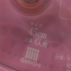 受け渡し決定★浮き輪 45センチの画像