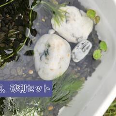 GEX ガラスアクアリウム Tear  砂利、石セットメダカ鉢 金魚鉢の画像