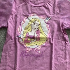 未使用プリンセスセットの画像